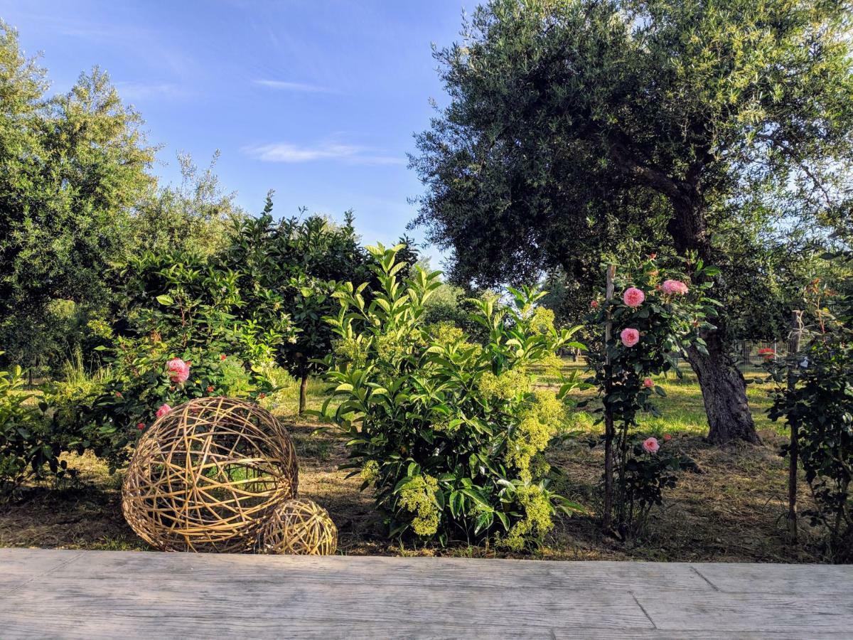 Appartement Casa Di Porto Roma à Vasilikí Extérieur photo
